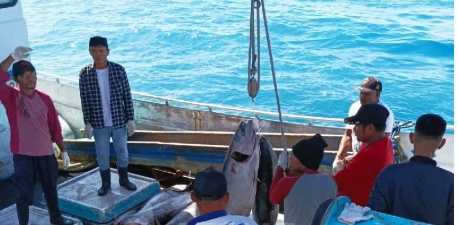 Potensi Ikan Tuna di Perairan Biak Numfor