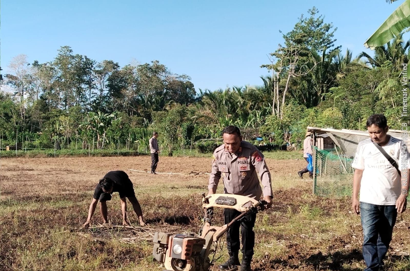 Polri Siapkan Lahan Jagung di Ambon, Perkuat Ketahanan Pangan Nasional
