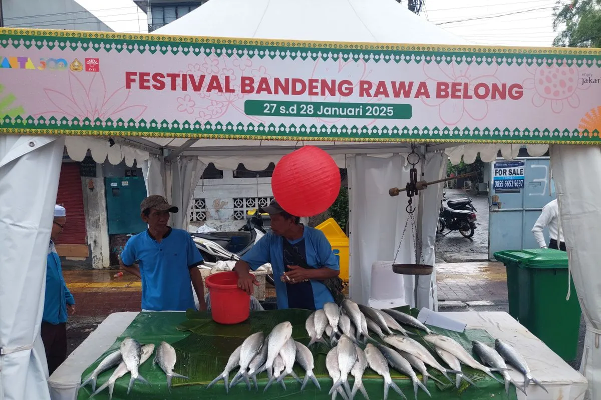 Mengenal Festival Bandeng Rawa Belong: Sejarah, Makna, dan Pengaruh Terhadap Masyarakat Jakarta