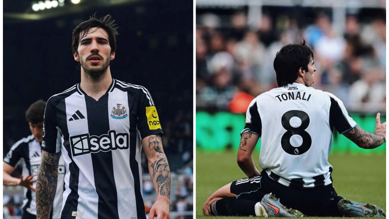 Real Madrid Siapkan Penawaran untuk Sandro Tonali dari Newcastle United