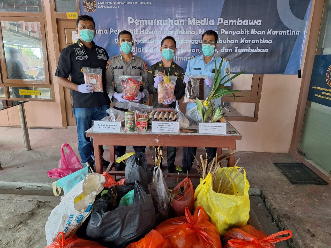 Tak Beri Celah! Karantina Kaltara Musnahkan Puluhan Kilogram Daging Ilegal