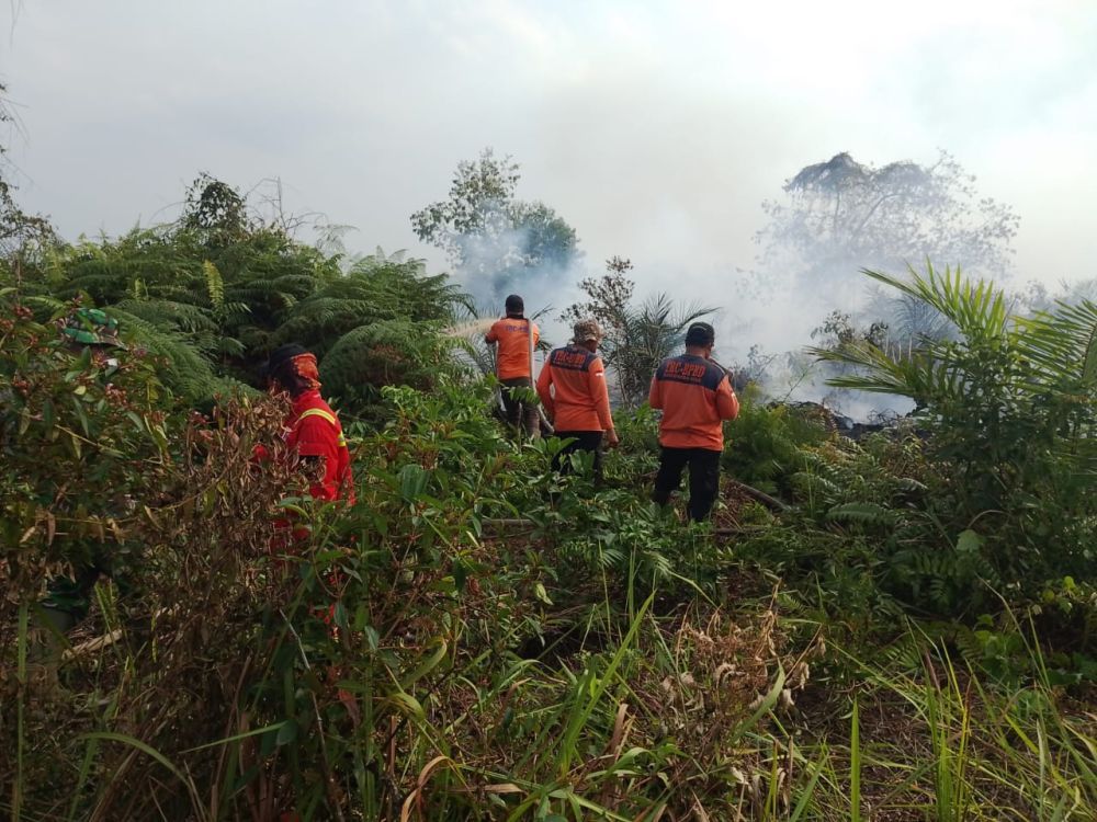 Karhutla di Riau Kembali Terjadi, BPBD Fokus Pemadaman di Pelalawan dan Bengkalis