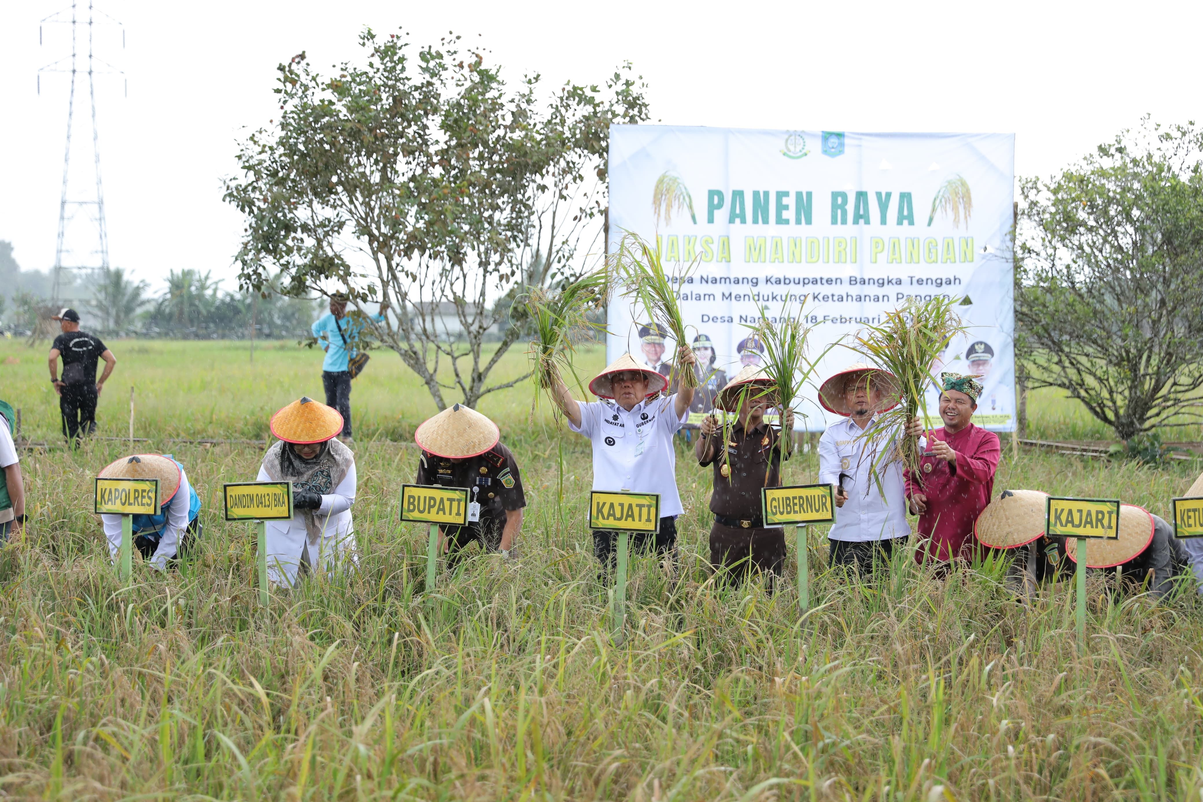 Panen Raya Jaksa Mandiri Pangan, Gubernur Babel Hidayat Arsani Tegaskan Babel Menuju Kedaulatan Pangan Berkelanjutan
