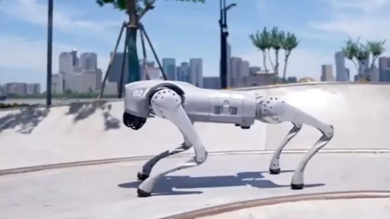 Kontroversi Robot Anjing: Antara Inovasi dan Kejelasan Fakta di KTT AI India
