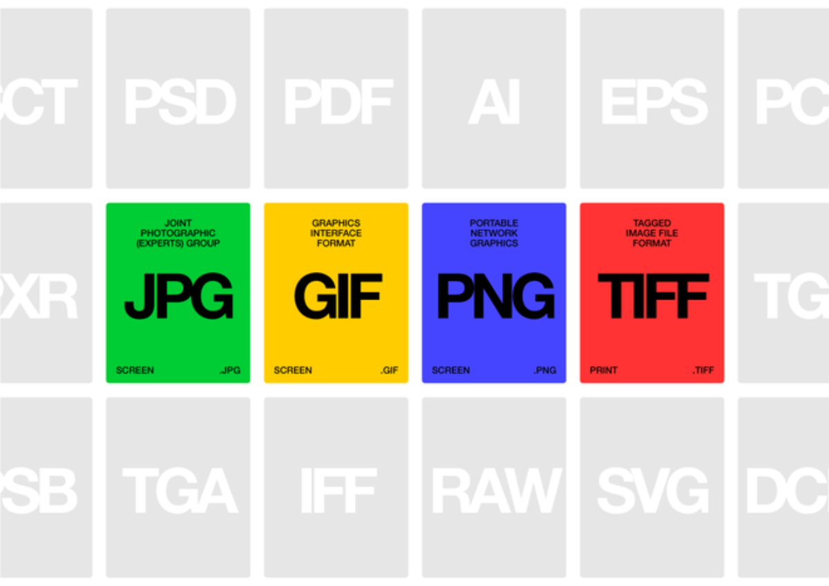 JPG, JPEG, PNG, WebP, GIF, SVG, TIFF, RAW. Apa Perbedaan dan Format Gambar Terbaik?