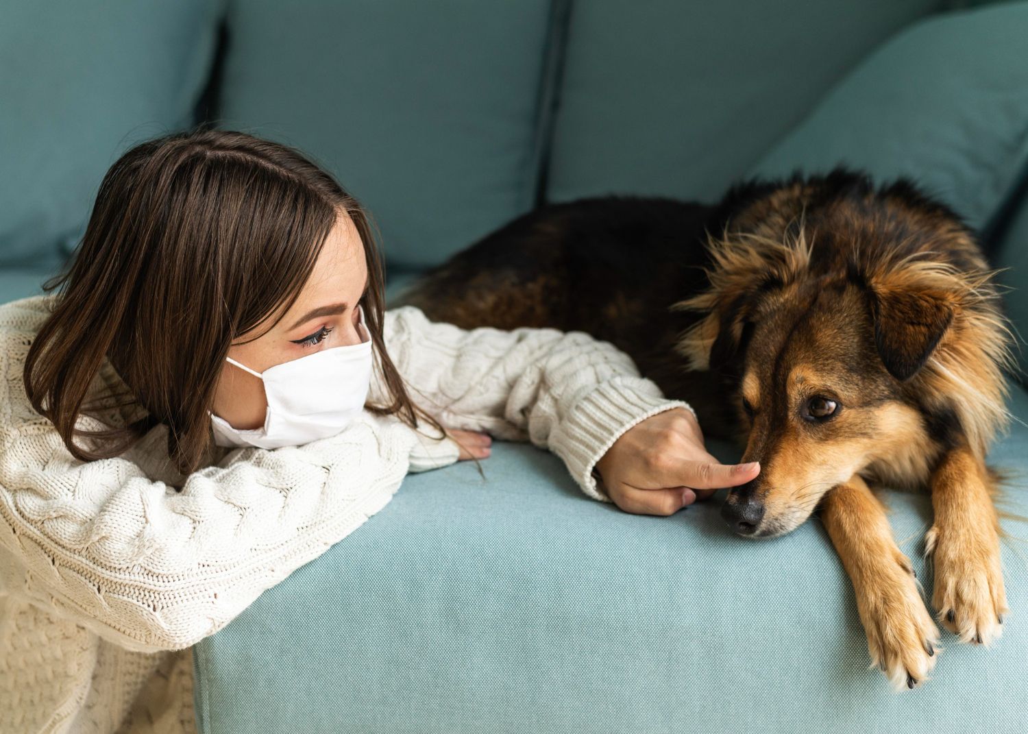 Tak Perlu Panik, Guru Besar UGM Ini Ungkap Coronavirus Anjing Belum Bersifat Zoonosis