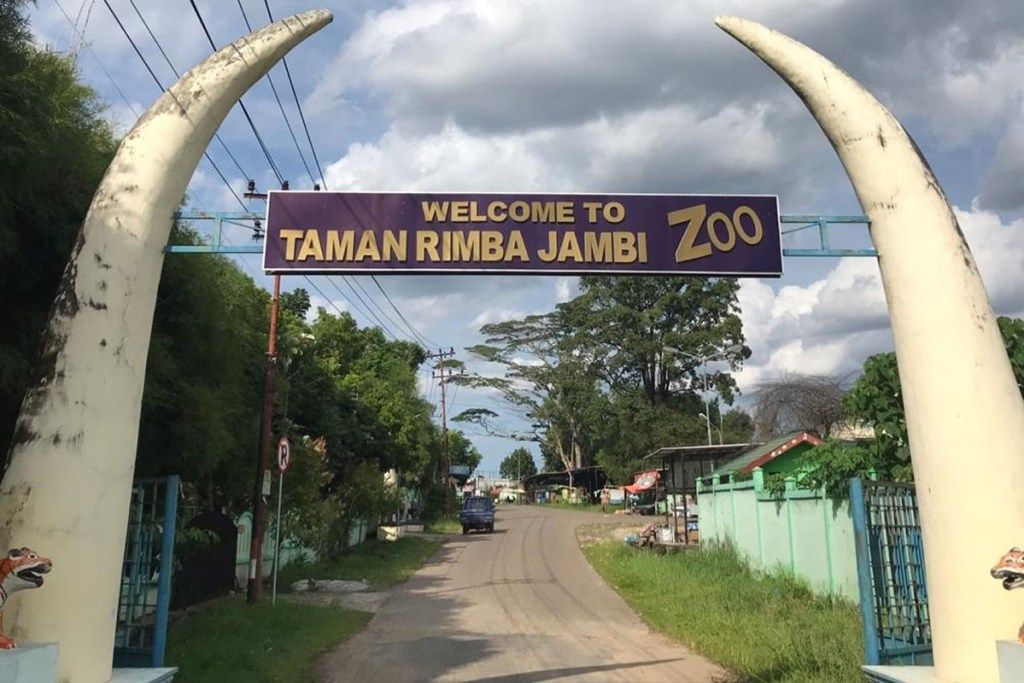 Bingung Libur Lebaran ke Mana? Cek Daftar Tempat Wisata Jambi yang Buka Saat Idul Fitri