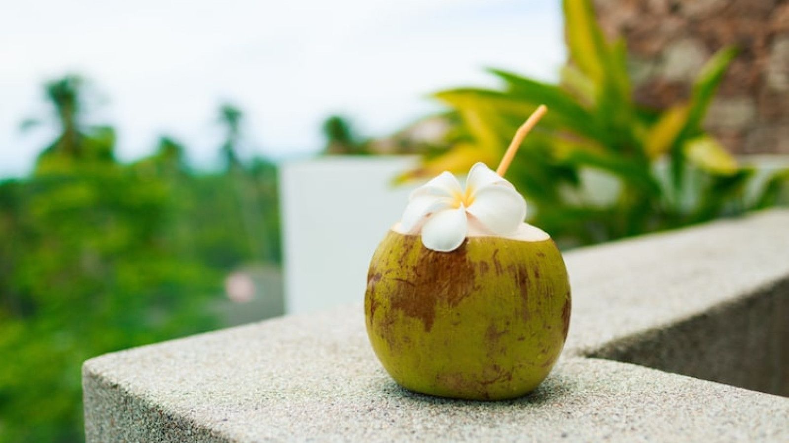 Inspirasi Takjil Cepat untuk Berbuka Puasa
