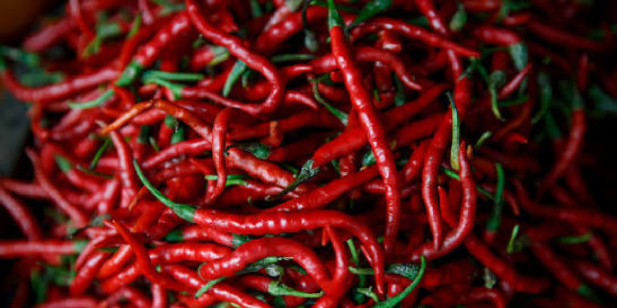 Harga Cabai di Pekanbaru 27 Februari 2026: Rawit Merah Rp100 Ribu per Kg