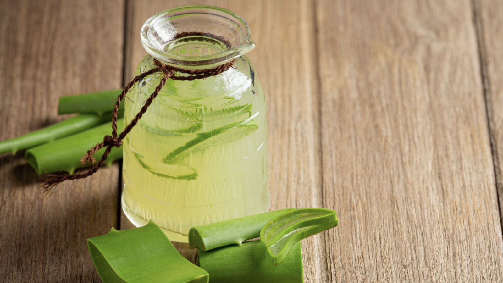 Mengoptimalkan Manfaat Lidah Buaya untuk Mengatasi Luka Ringan