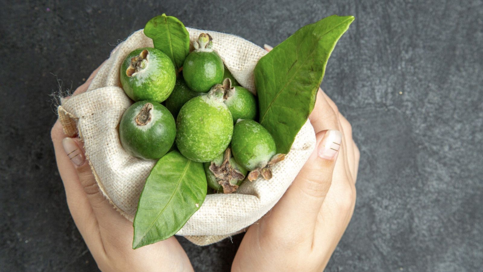 Manfaat dan Cara Memanfaatkan Daun Jambu Biji untuk Mengatasi Diare