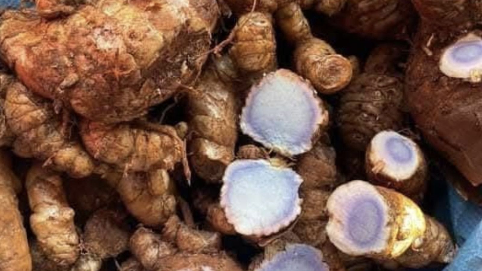 Mengenal Temu Ireng: Solusi Alami untuk Gangguan Pencernaan