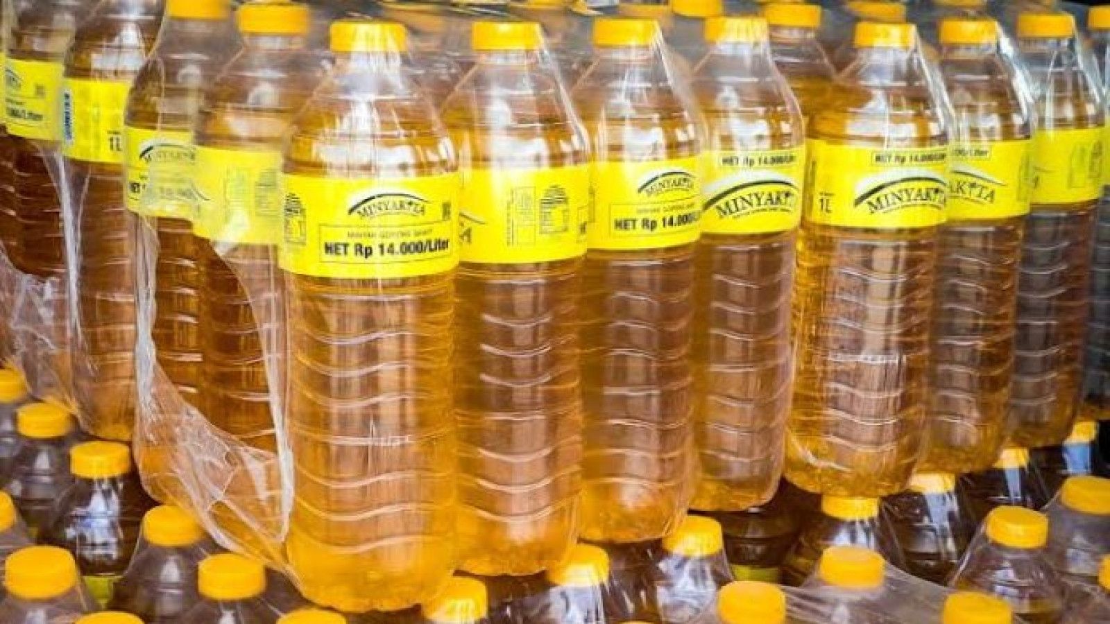 Pemerintah Tinjau Kenaikan Harga Minyakita Terkait Lonjakan CPO Global