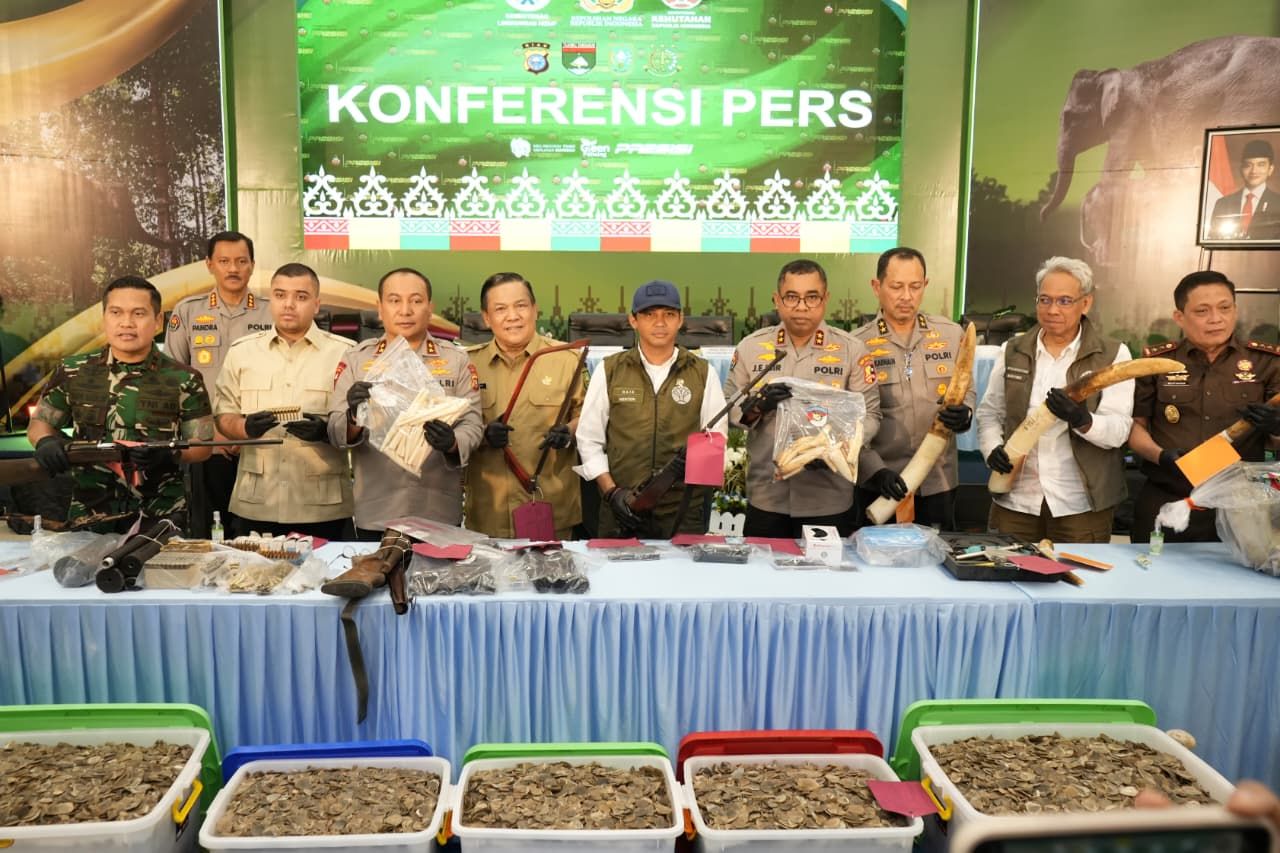 Polda Riau Ungkap Pembunuhan Gajah Sumatera Tanpa Kepala di Pelalawan, 15 Tersangka Ditangkap
