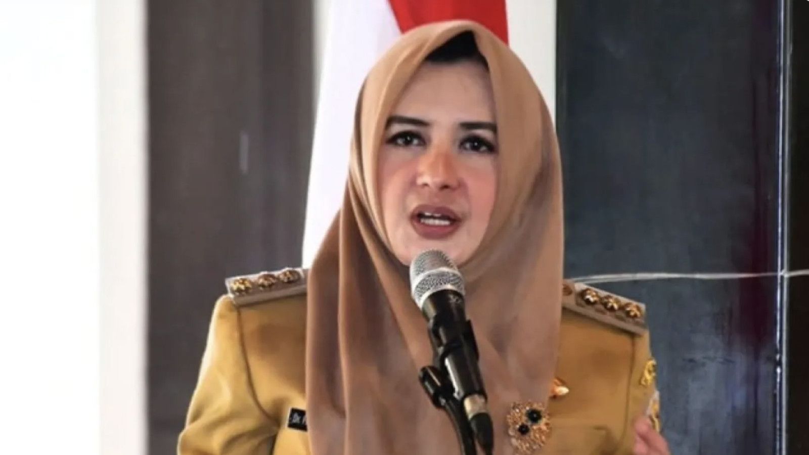 Fadia Arafiq, Bupati Pekalongan, Disangka Terlibat Korupsi Pengadaan Outsourcing