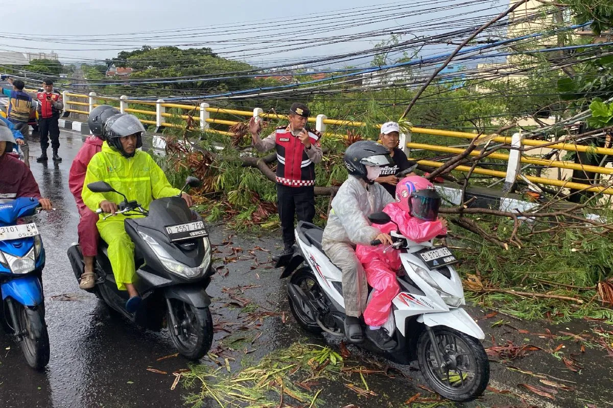 Pohon Tumbang Timpa Mobil di Jalan Diponegoro, Lalu Lintas Sempat Melambat
