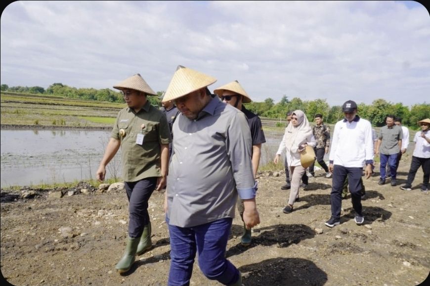 Kecamatan Karangmalang Jadi Target Lokasi Pemasok Kebutuhan Pangan Nasional