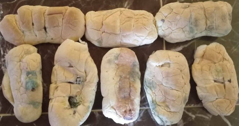 Viral Roti Berjamur Ditemukan dalam Menu MBG Kering di Sejumlah Daerah, Pakar UGM Ingatkan Bahaya Mikroorganisme