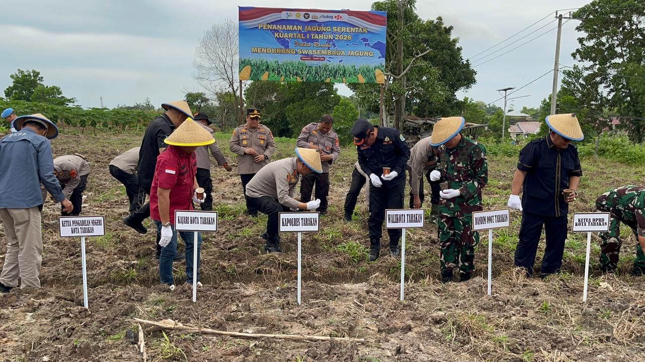 Dukung Ketahanan Pangan, Polres Tarakan Tanam Jagung Serentak di Tarakan Utara