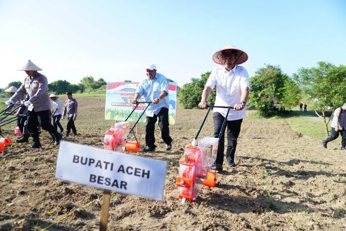 Tanam Jagung Serentak di Aceh Besar, Wabup Syukri: Dukung Stabilitas Pangan 2026