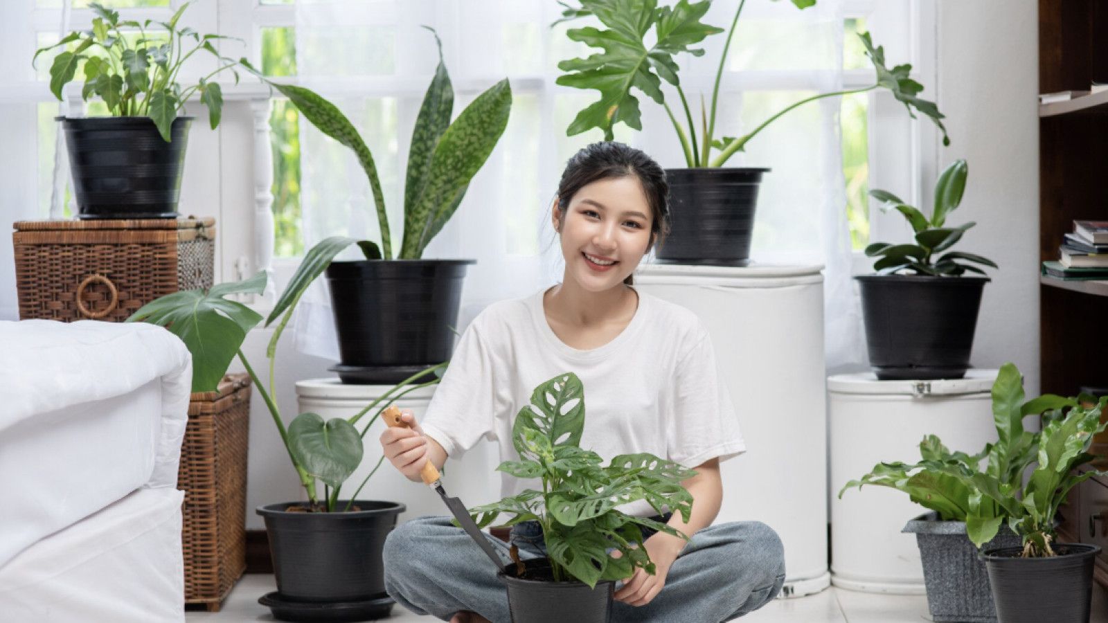 Optimalisasi Kualitas Udara Dalam Ruangan Melalui Tanaman Hias