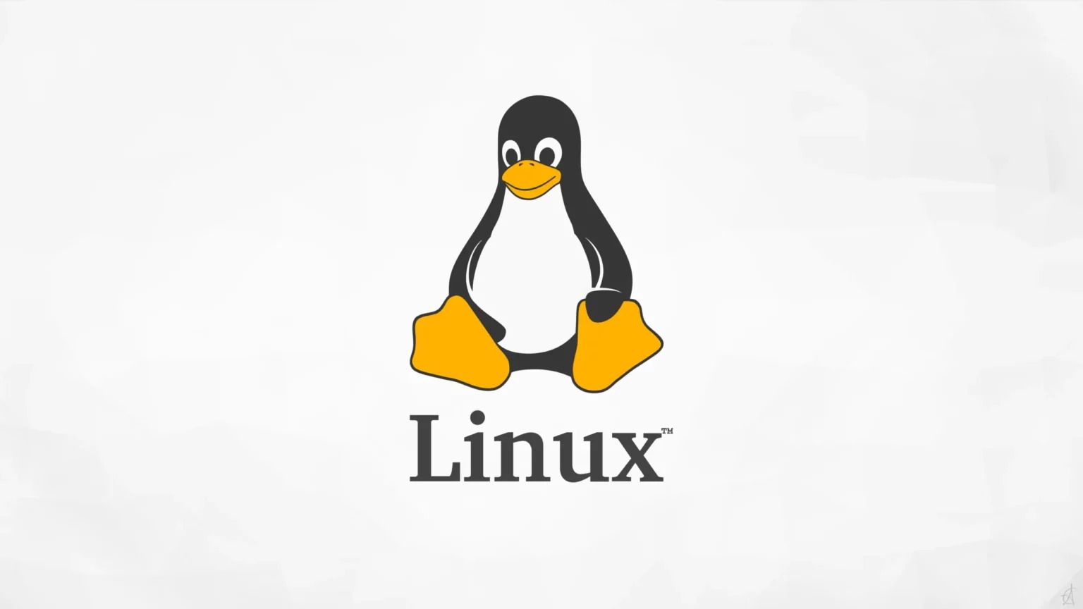 Ingin Pindah dari Windows? Simak Pengertian Linux, Keunggulan, dan Rekomendasi Distro untuk Pemula