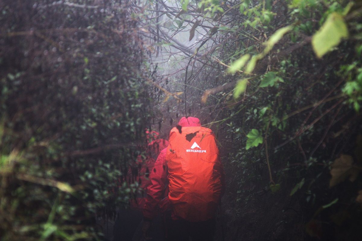 EIGER Gaspol Bikin Agenda Seru di 2026: Dari Menjelajahi Hutan Sumatra hingga Misi Edukasi di NTT