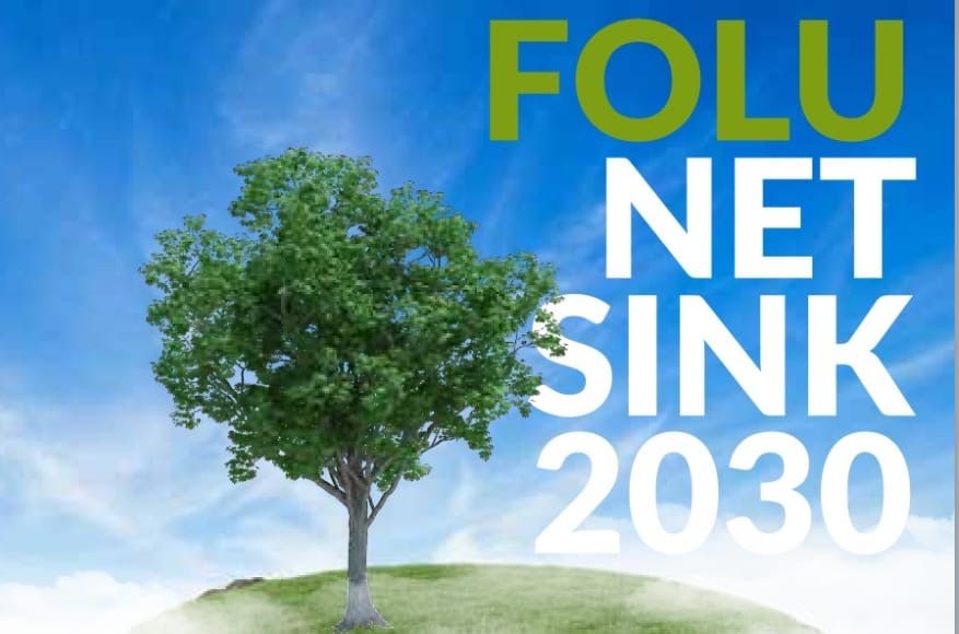 Strategi Dishut Kalsel Pulihkan Lahan Kritis Lewat Pendanaan FOLU Net Sink 2030