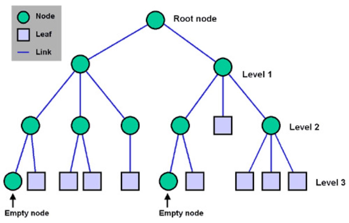 Apa Itu Node? Penjelasan Sederhana tentang Jantung Jaringan Komputer dan Blockchain