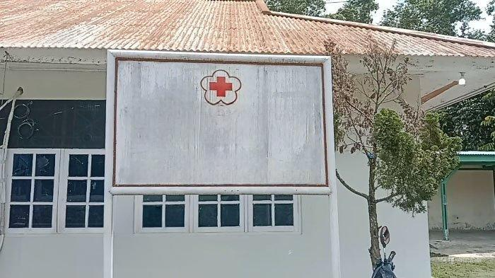 PMI Jayapura: Profil dan Lokasi Kantor Resmi di Sentani Papua