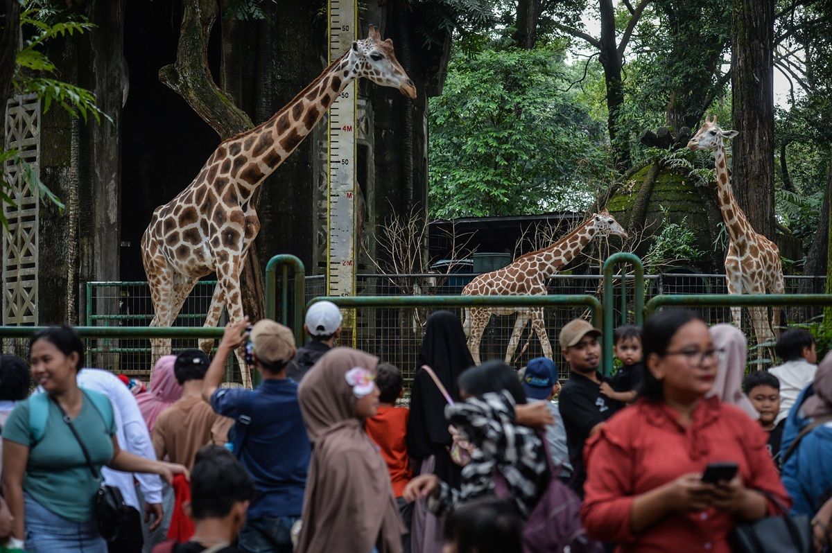 Ragunan Jadi Primadona Libur Lebaran, Tembus 72 Ribu Orang dalam Sehari