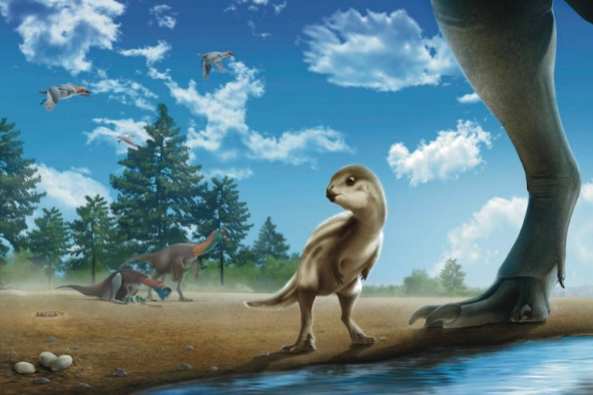 Doolysaurus, Dinosaurus Bayi Pertama dengan Fragmen Tengkorak di Korea Selatan