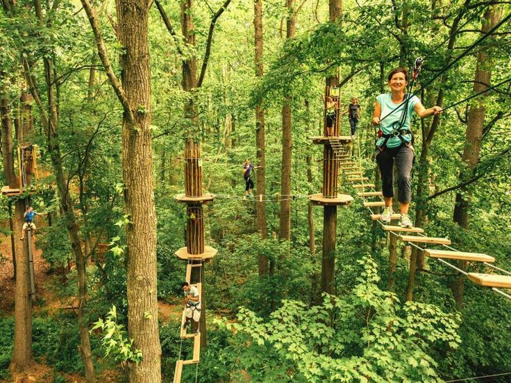 Seru dan Menantang! Daftar Lokasi Outbound Paling Hits di Jambi untuk Liburan Seru