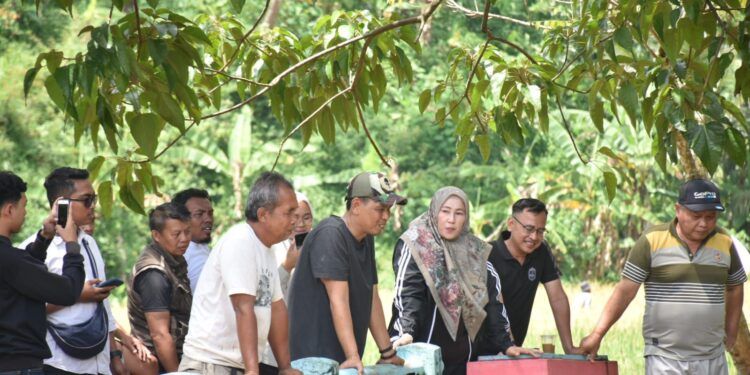 Tuti Andriani Cek Lokasi Banjir Cisanggarung, Pastikan Penanganan Berjalan