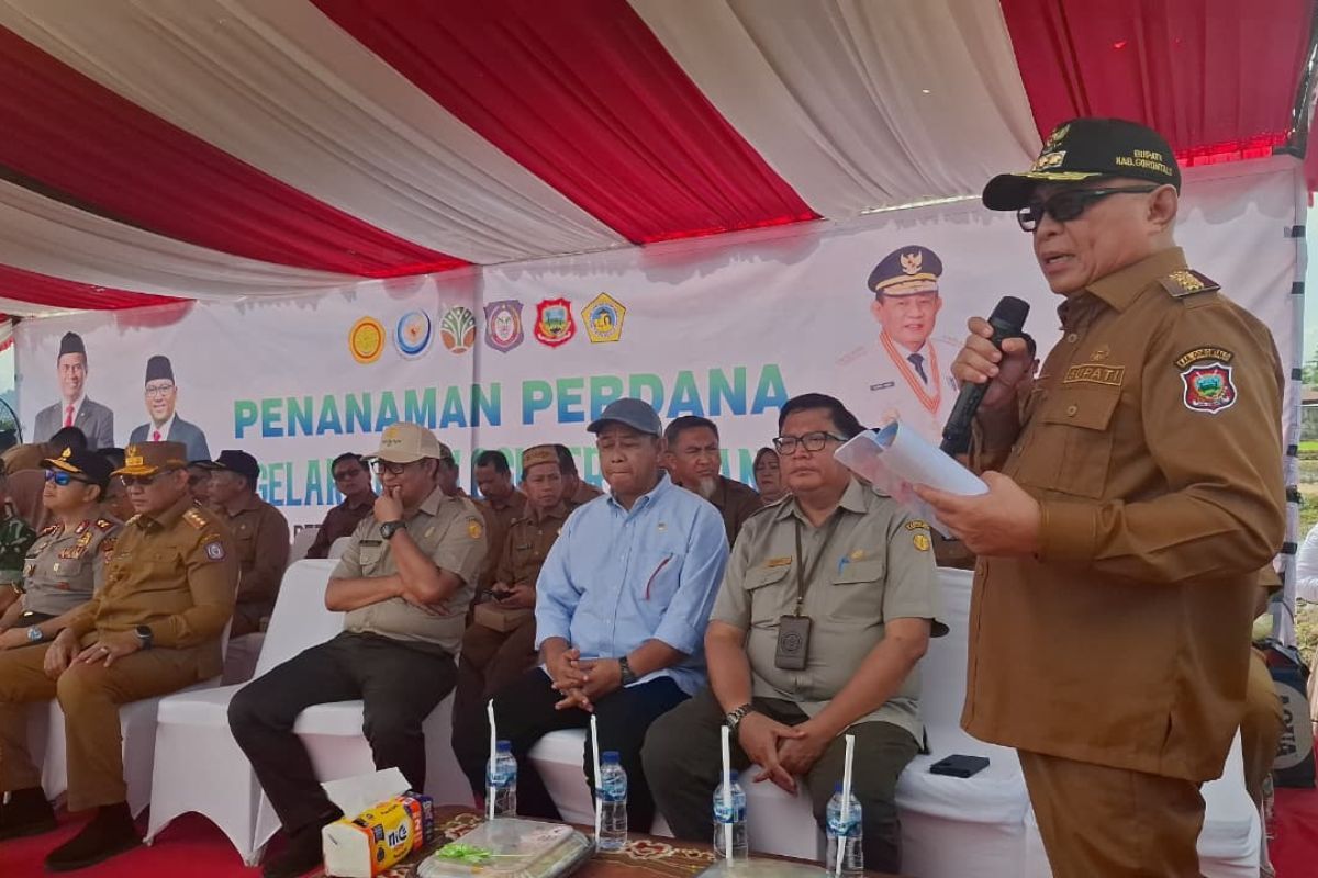 Sambut 30 Ribu Peserta Penas KTNA 2026, Pemkab Gorontalo Genjot Infrastruktur dan Produksi Pangan