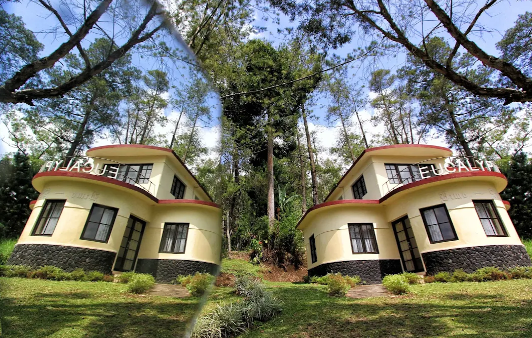 Sensasi Menginap di Tengah Hutan Pinus Coban Rondo, Villa Eucalyptus Jadi Daya Tarik Baru