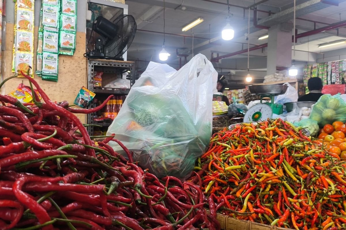 Pedas! Harga Rica di Pasar Sentral Gorontalo Tembus Rp125 Ribu per Kg