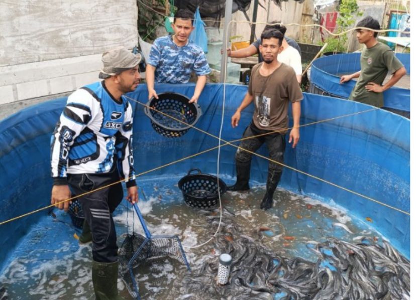 Panen Lele Bioflok 359 Kg, Kelompok Binaan DP2KP Bukti Teknologi Tingkatkan Produktivitas