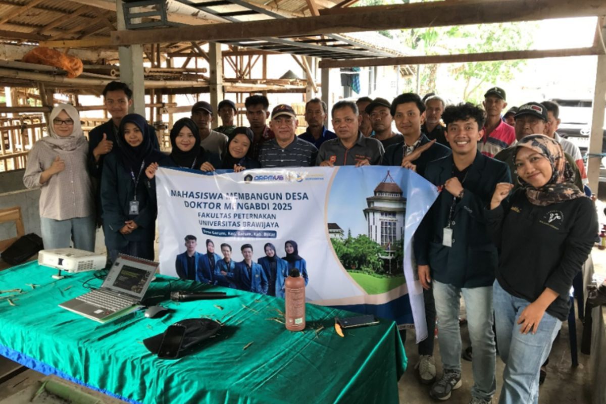 Kurangi Ketergantungan Pakan Pabrikan, UB Bekali Peternak Blitar dengan Teknologi TMR