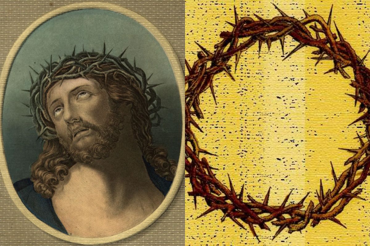 Mengenal Arti Crown of Thorns dan Alasan Mengapa Yesus Memakai Mahkota Duri