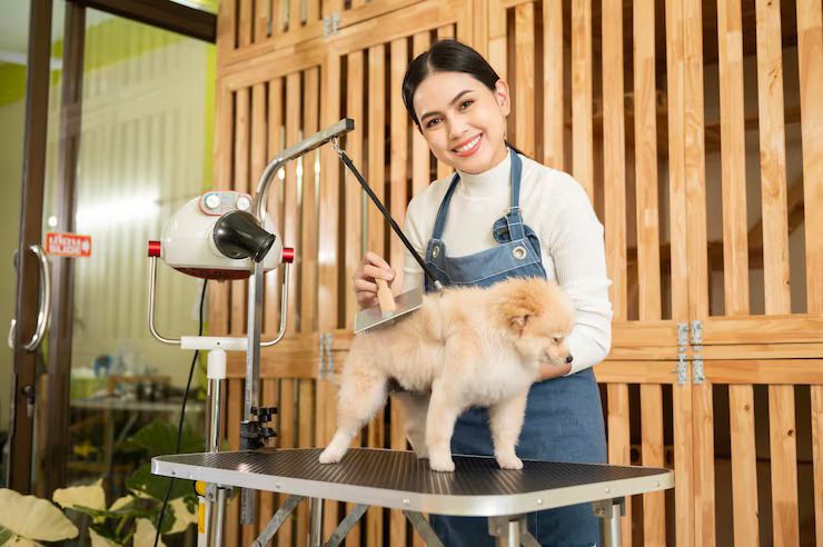 Pahami Bedanya: Memisahkan Layanan Petshop Grosir Pakan dan Klinik Medis Hewan Agar Bisnis dan Perawatan Lebih Optimal