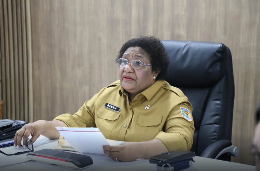 Sinergi Pusat dan Daerah Benahi RSUD Yowari, Pelayanan Kesehatan Papua Dipercepat