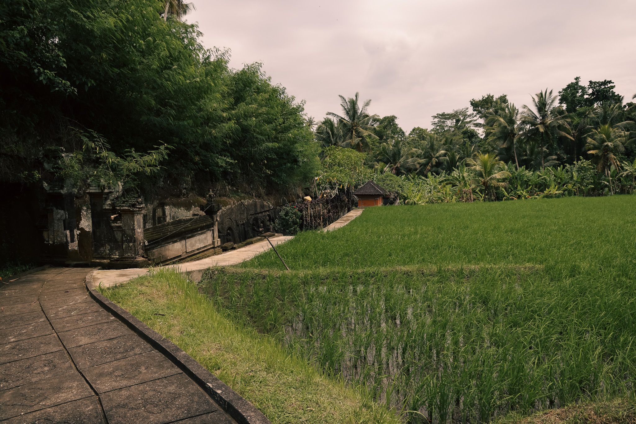Rekomendasi Wisata Bali Selain Pantai, Yeh Pulu Relief Eksotis Tersembunyi di Gianyar