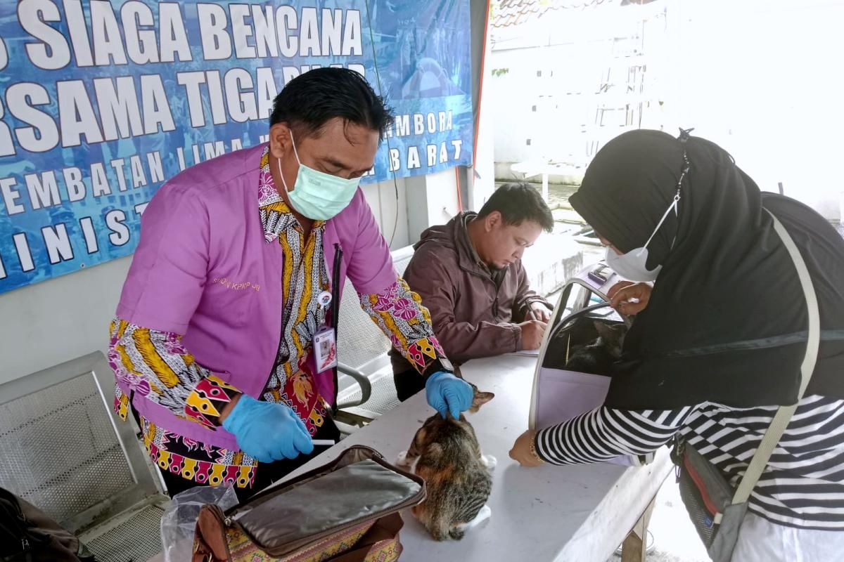 Cegah Virus Rabies, Pemrov DKI Gelar Vaksinasi di Jembatan Lima
