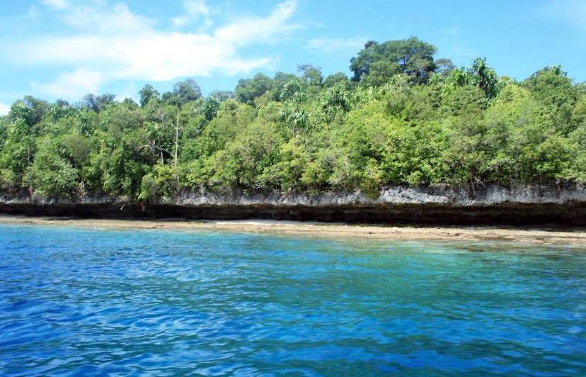 Cara Menuju Pulau Kakaban dan Etika Snorkeling yang Benar