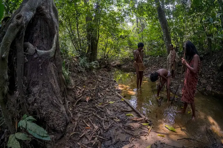 Ingin Healing ke Alam? Simak Panduan Lengkap Wisata Taman Nasional di Jambi