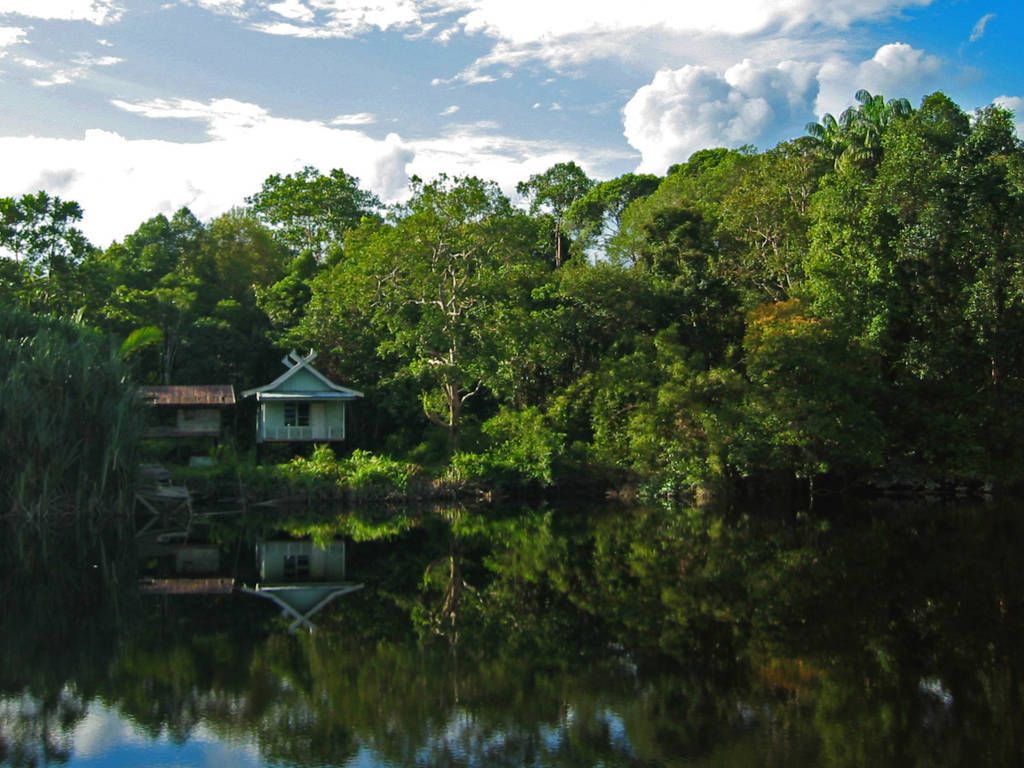 Ingin Healing ke Alam? Simak Panduan Lengkap Wisata Taman Nasional di Jambi