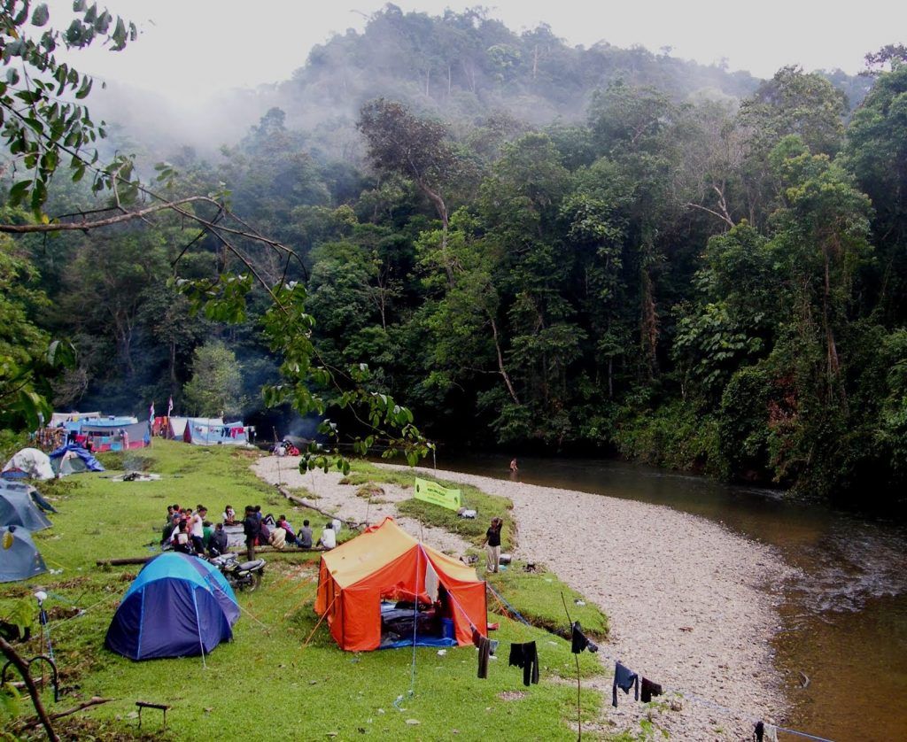 Ingin Healing ke Alam? Simak Panduan Lengkap Wisata Taman Nasional di Jambi