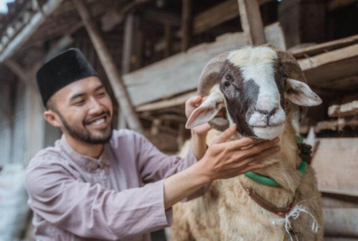 Apakah Boleh Berkurban Sebelum Aqiqah? Ini Penjelasannya