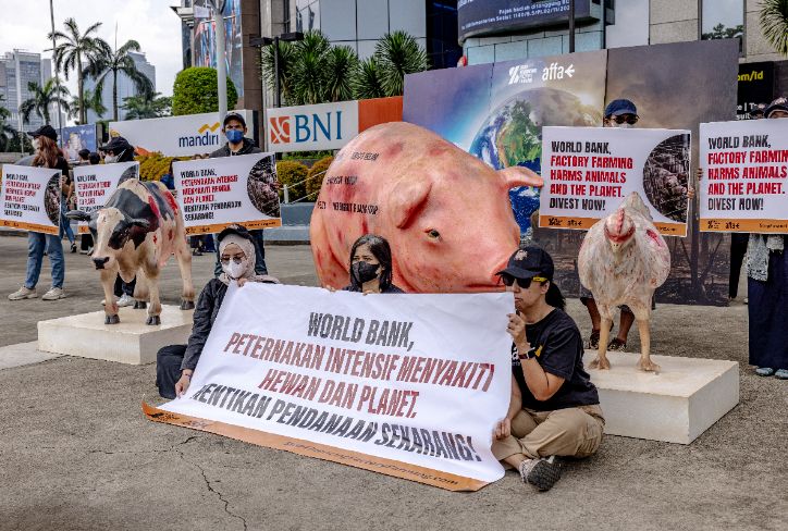Aksi Global di 20 Negara Desak World Bank Hentikan Dana untuk Peternakan Intensif